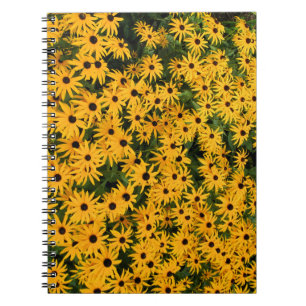 Yellow Field of Daisies Notebook