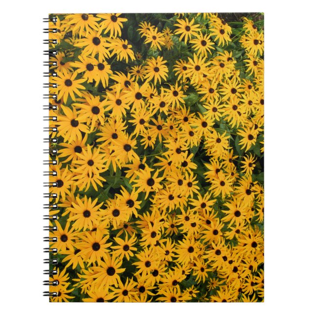 Yellow Field of Daisies Notebook (Front)