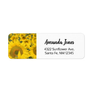 Yellow Field of Sunflowers Photograph