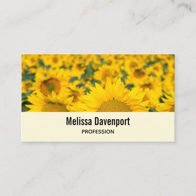 Yellow Field of Sunflowers Photograph Business Card (Front)