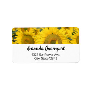 Yellow Field of Sunflowers Photograph Label