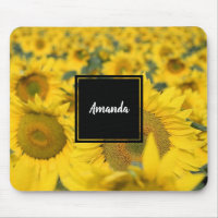 Yellow Field of Sunflowers Photograph
