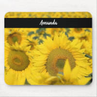 Yellow Field of Sunflowers Photograph