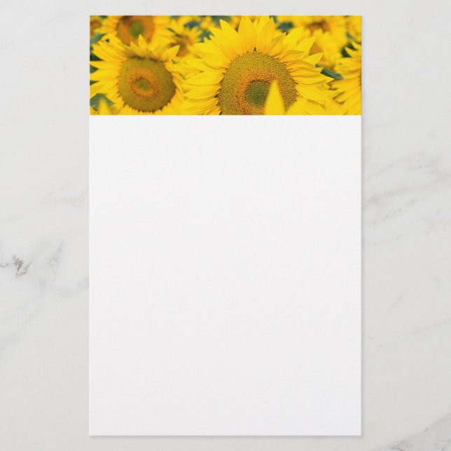 Yellow Field of Sunflowers Photograph Stationery (Front)