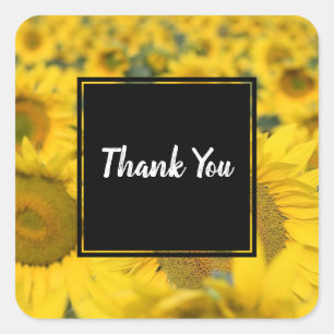 Yellow Field of Sunflowers Photograph Thank You Square Sticker