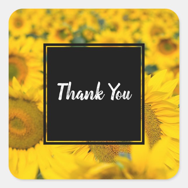 Yellow Field of Sunflowers Photograph Thank You Square Sticker (Front)