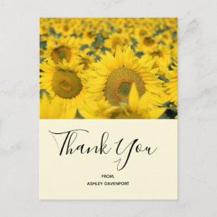 Yellow Field of Sunflowers Thank You Postcard