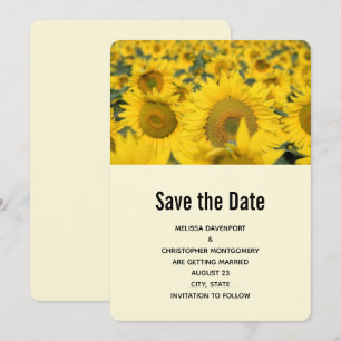 Yellow Field of Sunflowers Wedding Save The Date