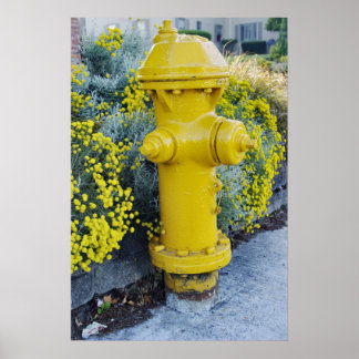 Yellow fire hydrant and wild flowers poster
