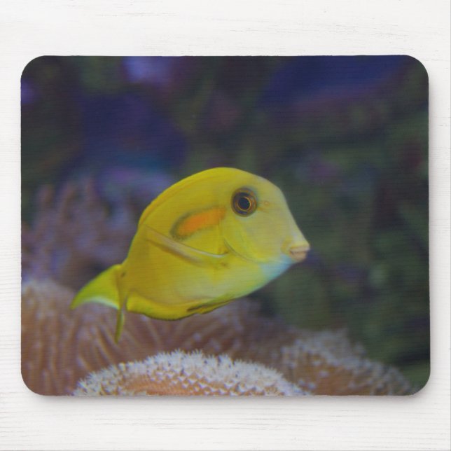 Yellow Fishy Mouse Mat (Front)