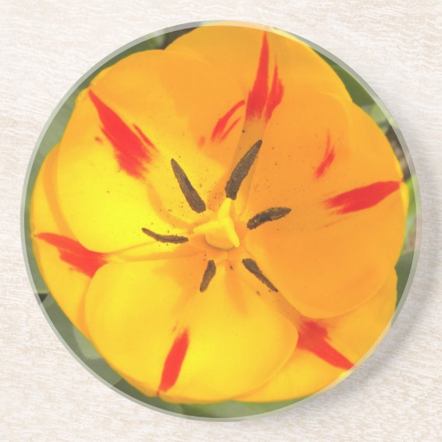 Yellow flamed tulip coaster (Front)
