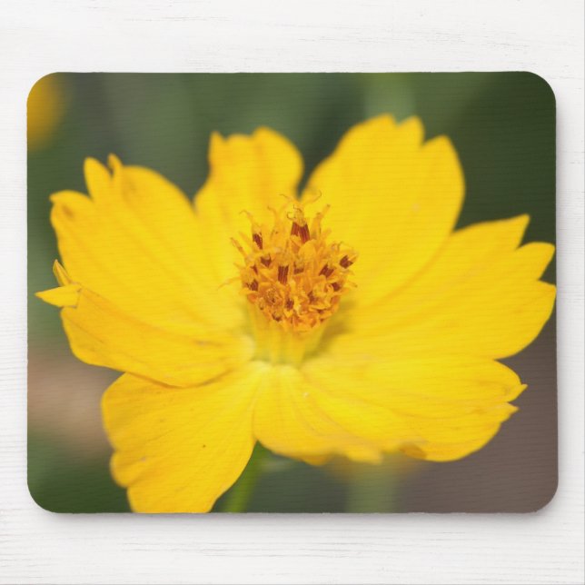 Yellow Floral Mousepad (Front)