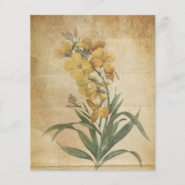 Yellow Floral Vintage Scrapbook Paper (Front)