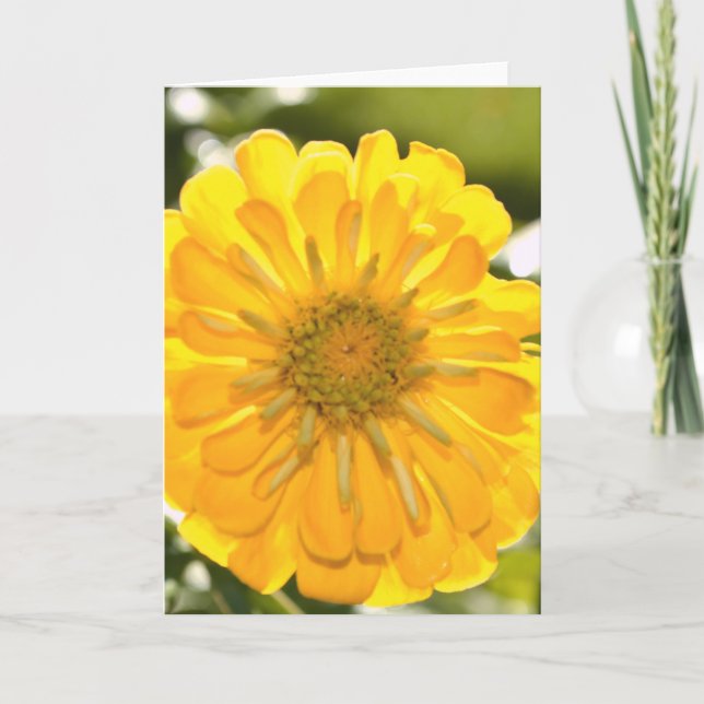 Yellow floral yellow flower yellow daisy card (Front)