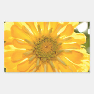 Yellow floral yellow flower yellow daisy rectangular sticker
