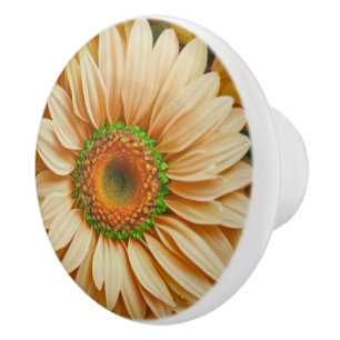 Yellow floral yellow sunflower yellow daisies ceramic knob