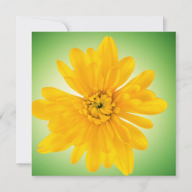 Yellow flower (Front)