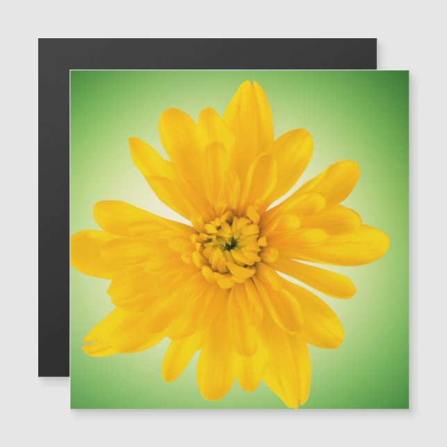 Yellow flower (Front/Back)