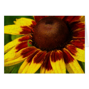 Yellow Flower