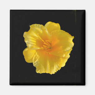 Yellow Flower 2 Inch Square Magnet