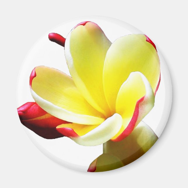Yellow Flower 2 Magnet (Front)