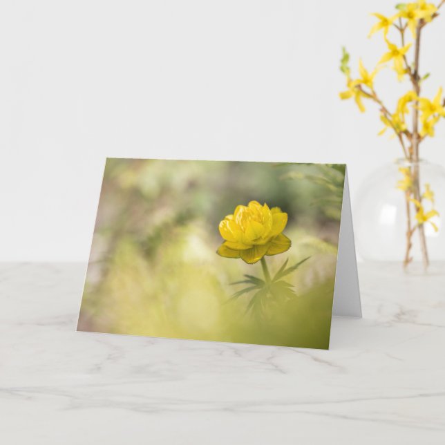 Yellow Flower Buttercup Card (Yellow Flower)