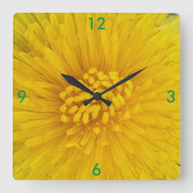 Yellow Flower Clocks (Front)