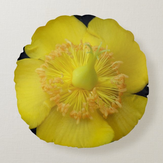 Yellow Flower Close up Photo Rpund Pillow (Front)