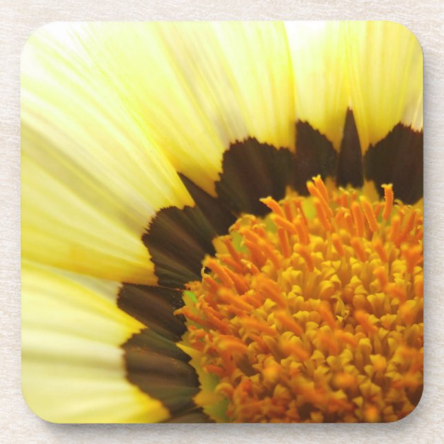 Yellow Flower Coasters (Front)