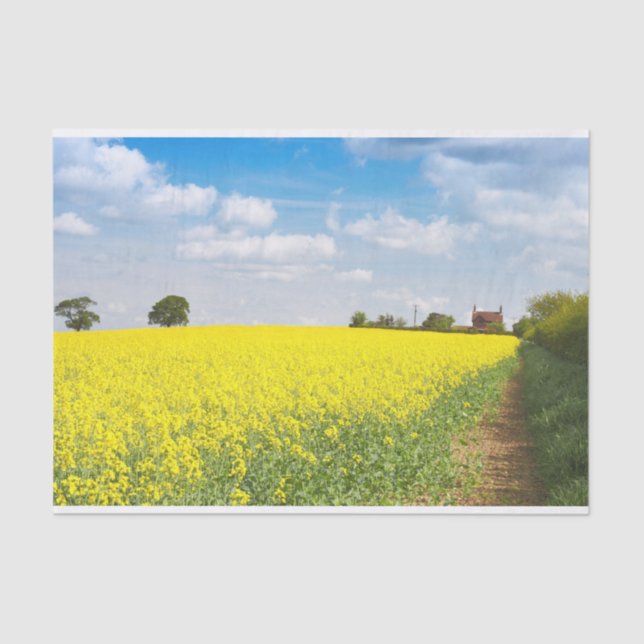 Yellow Flower Field As Far As The Eye Can See Farm Tissue Paper (Front)