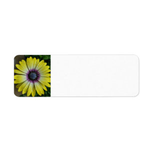 Yellow flower label