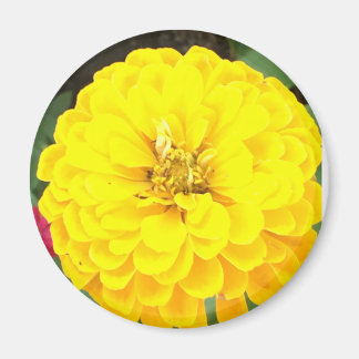 Yellow Flower Magnet