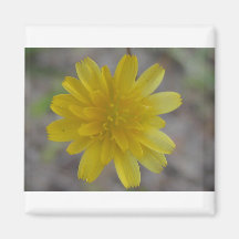 Yellow Flower Magnet