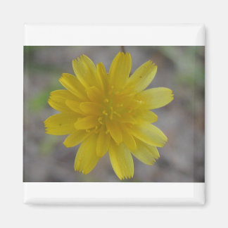 Yellow Flower Magnet
