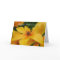 Yellow Flower Mothers Day Card