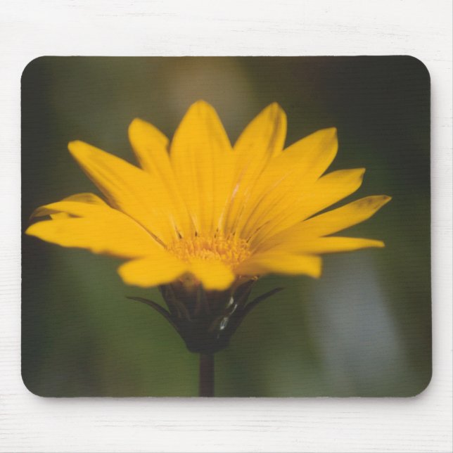 Yellow Flower Mouse Mat (Front)