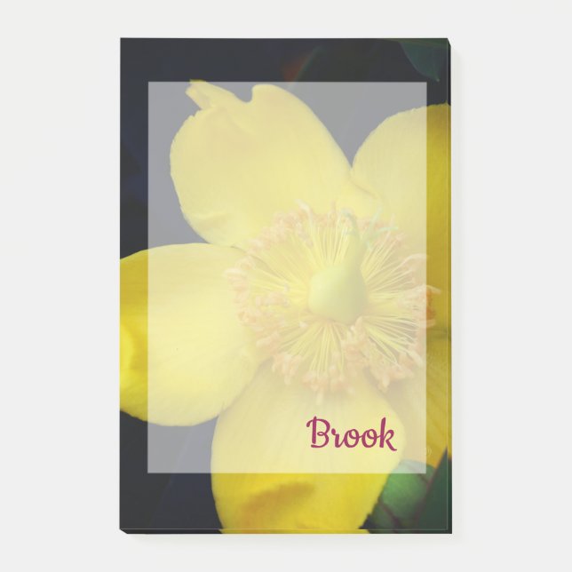 Yellow flower Name  Post-It Notes (Front)