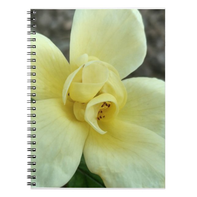Yellow Flower Notebook (Front)