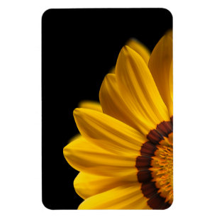 Yellow flower on black background magnet