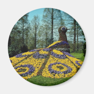 yellow Flower peacock, Mainau flowers Magnet