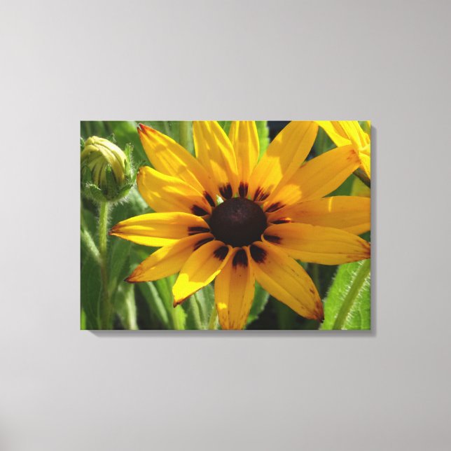 Yellow Flower Photo  Acrylic Wall Art (Front)