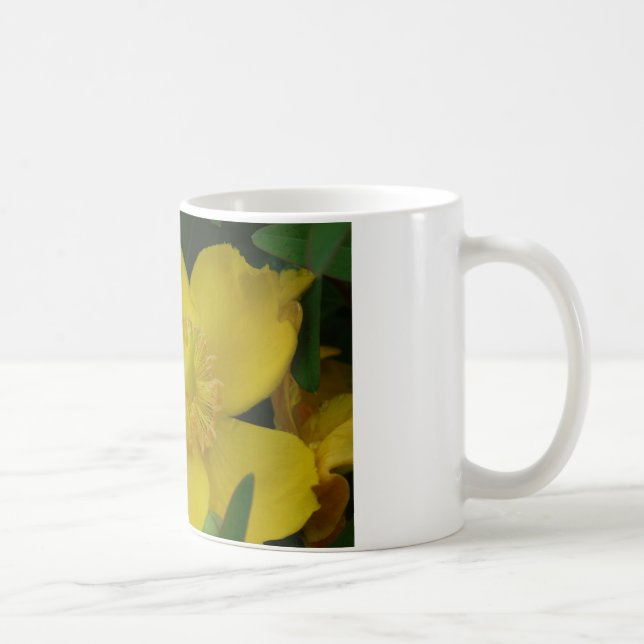 Yellow Flower Photo  Classic White Mug (Right)