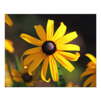 yellow flower photo print