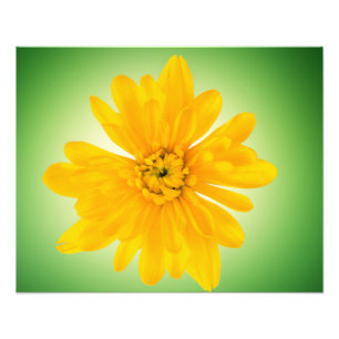 Yellow flower photo print