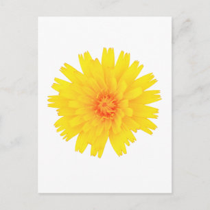 Yellow Flower Postcard