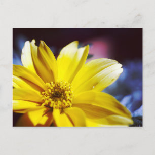 Yellow Flower Postcard