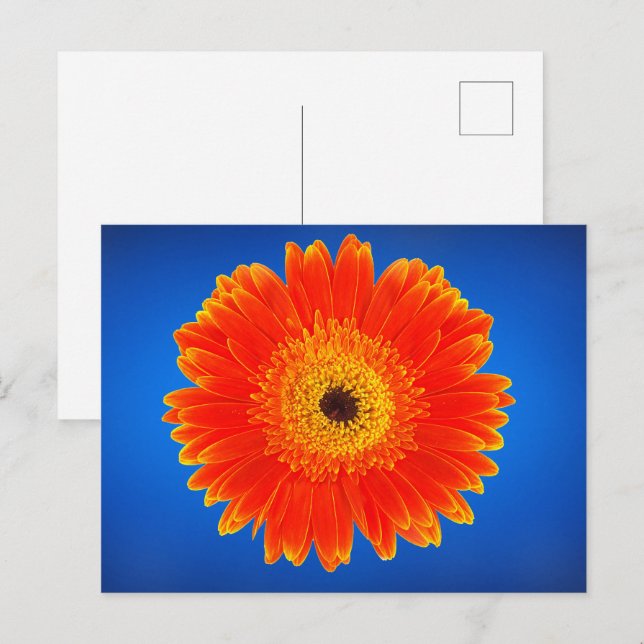 Yellow flower postcard (Front/Back)