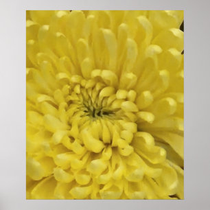 Yellow Flower Poster