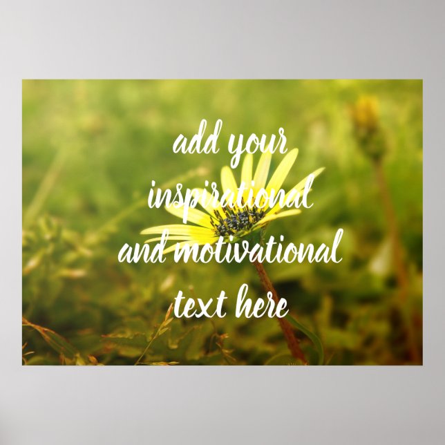 Yellow flower poster (Front)