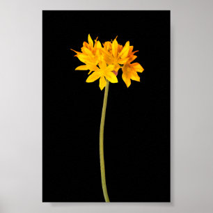 Yellow Flower Poster